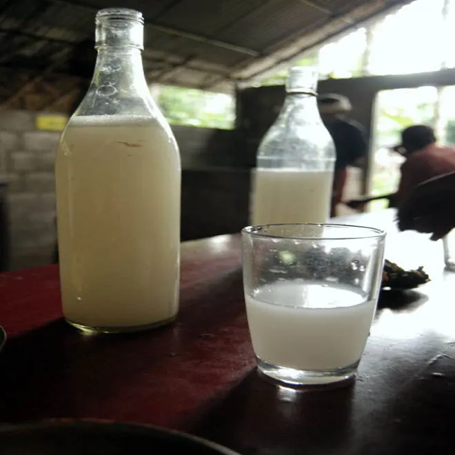 palm wine